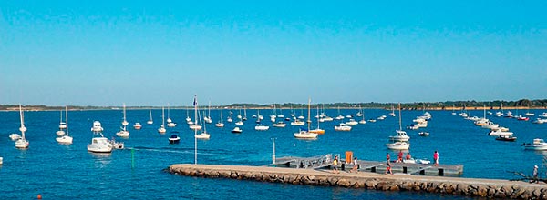 Retour sur les animations de l’été 2025