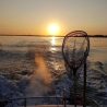 Concours de pêche du mouillage de Merquel / 18 Aout 2018