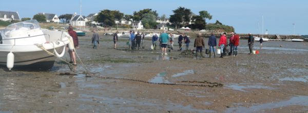 Ramassage des cailloux – Édition 2022