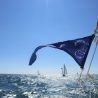 Rassemblement voile de juillet