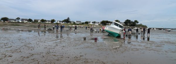 Le ramassage des cailloux 2025 approche